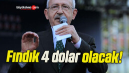 Fındık 4 dolar olacak!