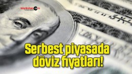 Serbest piyasada döviz fiyatları!