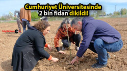 Cumhuriyet Üniversitesinde 2 bin fidan dikildi!