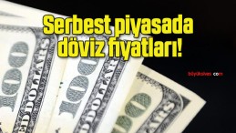 Serbest piyasada döviz fiyatları!