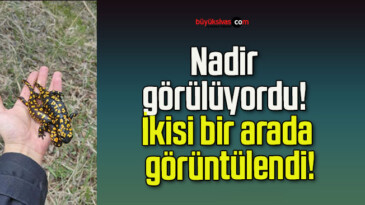 Nadir görülüyordu! İkisi bir arada görüntülendi!