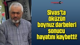 Sivas’ta öküzün boynuz darbeleri sonucu hayatını kaybetti!