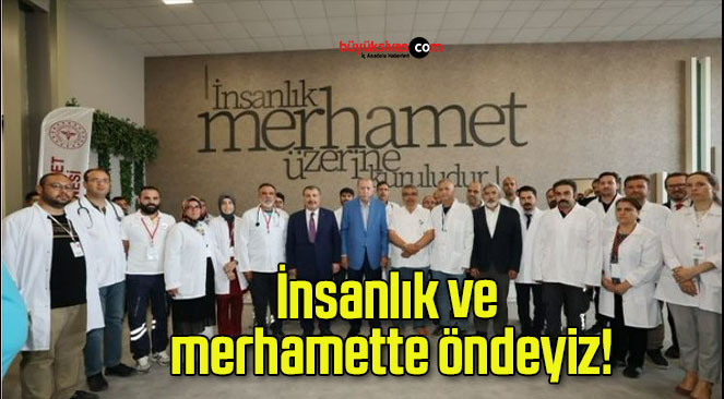 insan
