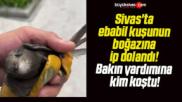 Sivas’ta ebabil kuşunun boğazına ip dolandı! Bakın yardımına kim koştu!