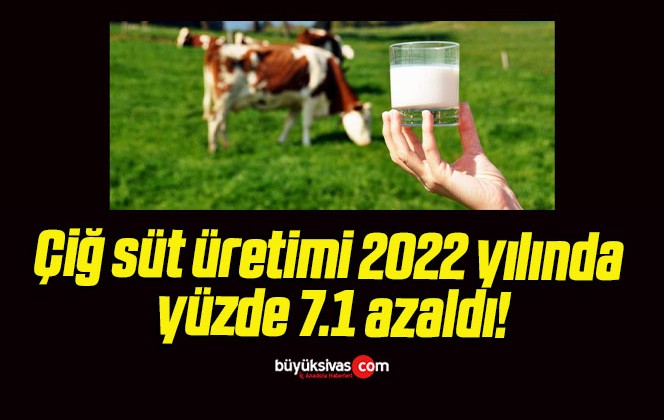 Çiğ süt üretimi 2022 yılında yüzde 7.1 azaldı!