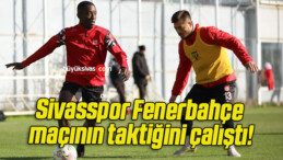 Sivasspor Fenerbahçe maçının taktiğini çalıştı!