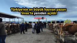 Türkiye’nin en büyük hayvan pazarı Sivas’ta yeniden açıldı!