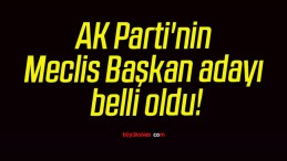 AK Parti’nin Meclis Başkan adayı belli oldu!