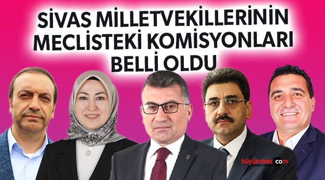 Sivas milletvekillerinin komisyonları belli oldu! 4 Sivas vekili komisyonlarda