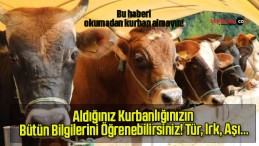 Aldığınız Kurbanlığınızın Bütün Bilgilerini Öğrenebilirsiniz! Tür, Irk, Aşı…