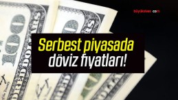 Serbest piyasada döviz fiyatları!