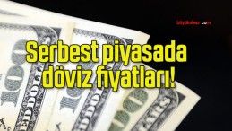 Serbest piyasada döviz fiyatları!