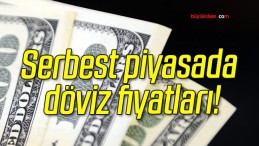 Serbest piyasada döviz fiyatları!