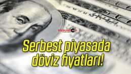 Serbest piyasada döviz fiyatları!