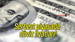 Serbest piyasada döviz fiyatları!