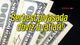 Serbest piyasada döviz fiyatları!