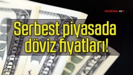 Serbest piyasada döviz fiyatları!