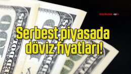 Serbest piyasada döviz fiyatları!