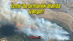 İzmir’de ormanlık alanda yangın!