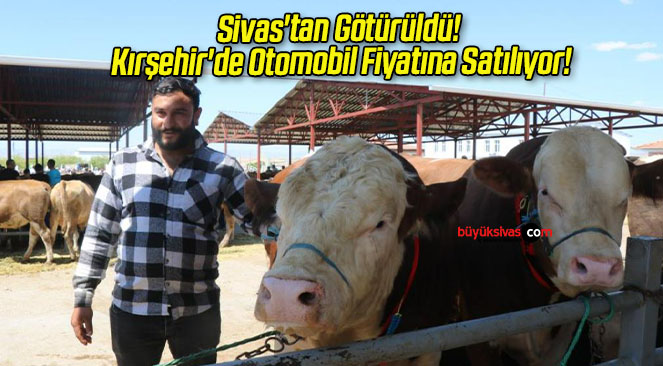 Sivas’tan Götürüldü! Kırşehir’de Otomobil Fiyatına Satılıyor!