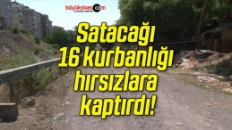 Satacağı 16 kurbanlığı hırsızlara kaptırdı!