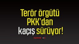 Terör örgütü PKK’dan kaçış sürüyor!