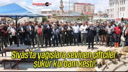 Sivas’ta yağışlara sevinen çiftçiler şükür kurbanı kesti!