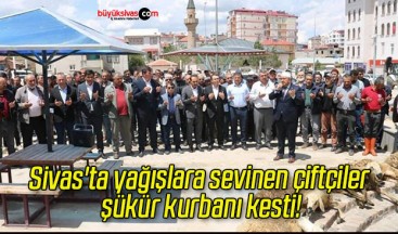 Sivas’ta yağışlara sevinen çiftçiler şükür kurbanı kesti!