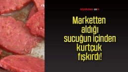 Marketten aldığı sucuğun içinden kurtçuk fışkırdı!