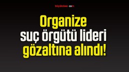 Organize suç örgütü lideri gözaltına alındı!