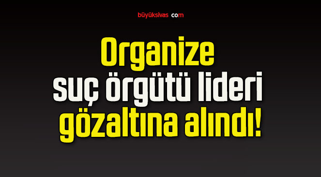 Organize suç örgütü lideri gözaltına alındı!