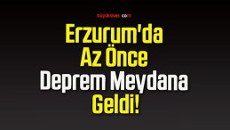 Erzurum’da Az Önce Deprem Meydana Geldi!