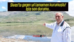 Sivas’ta geçen yıl tamamen kurumuştu! İşte son durumu.. 