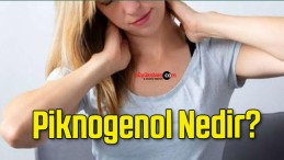 Piknogenol Nedir?