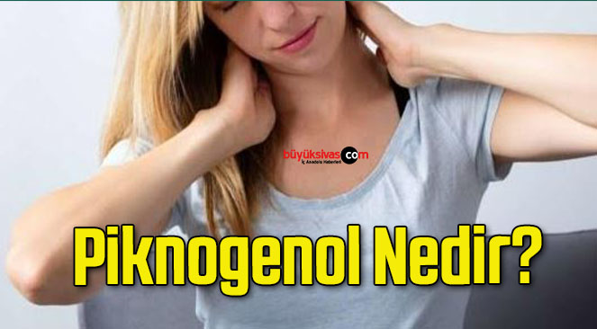 Piknogenol Nedir?