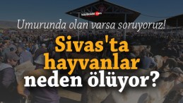 Sivas’ta hayvanlar neden ölüyor?