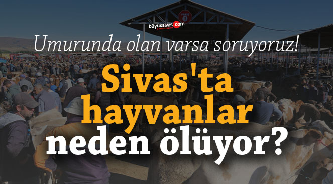 Sivas’ta hayvanlar neden ölüyor?