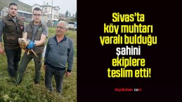 Sivas’ta köy muhtarı yaralı bulduğu şahini ekiplere teslim etti!