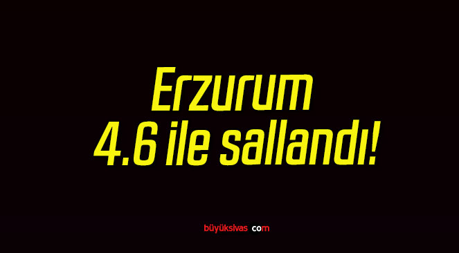 Erzurum 4.6 ile sallandı!