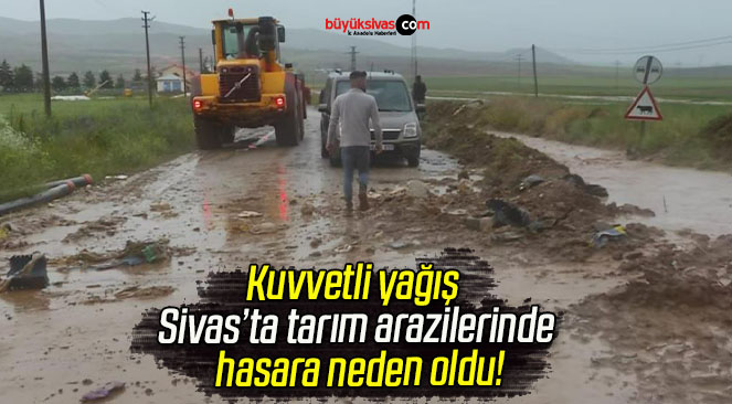 Kuvvetli yağış Sivas tarım arazilerinde hasara neden oldu!