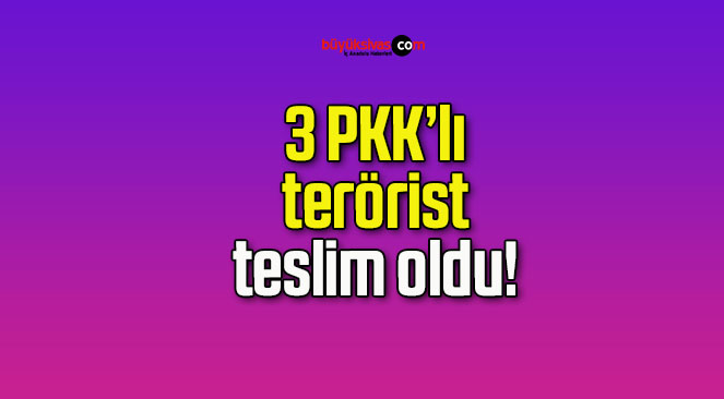 3 PKK’lı terörist teslim oldu!