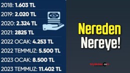 Nereden Nereye!