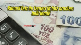 Kanuni faiz ile temerrüt faiz oranları belirlendi!