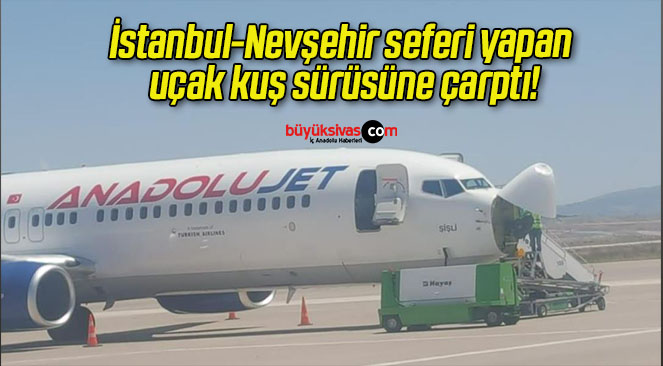 İstanbul-Nevşehir seferi yapan uçak kuş sürüsüne çarptı!