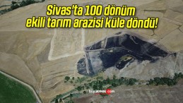 Sivas’ta 100 dönüm ekili tarım arazisi küle döndü!