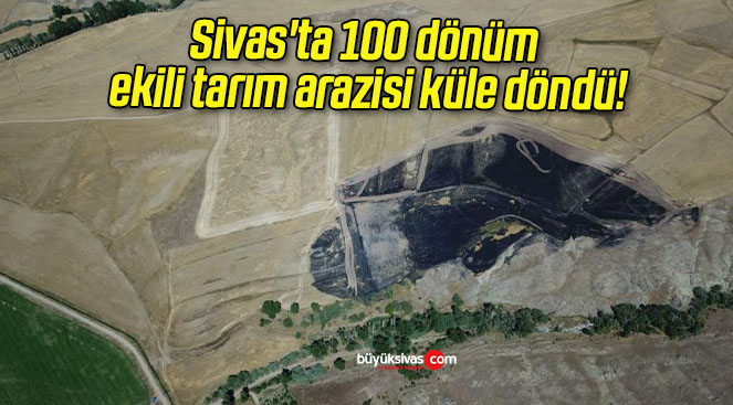 Sivas’ta 100 dönüm ekili tarım arazisi küle döndü!