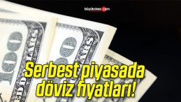 Serbest piyasada döviz fiyatları!