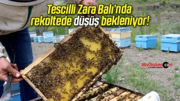 Tescilli Zara Balı’nda rekoltede düşüş bekleniyor!