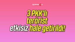 3 PKK’lı terörist etkisiz hale getirildi!