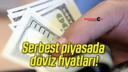 Serbest piyasada döviz fiyatları!